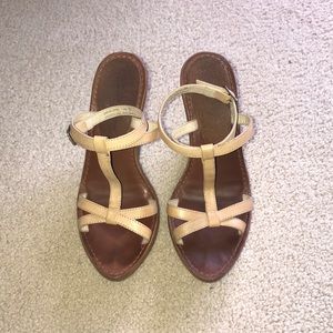 Elizabeth and James Wedges